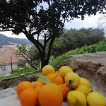 Panoramic View With Jacuzzi Vis