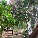 Panoramic View With Jacuzzi * Vis