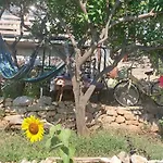 Panoramic View With Jacuzzi Vis