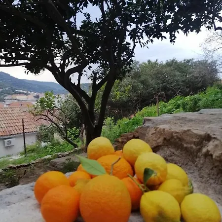 Panoramic View With Jacuzzi 维斯