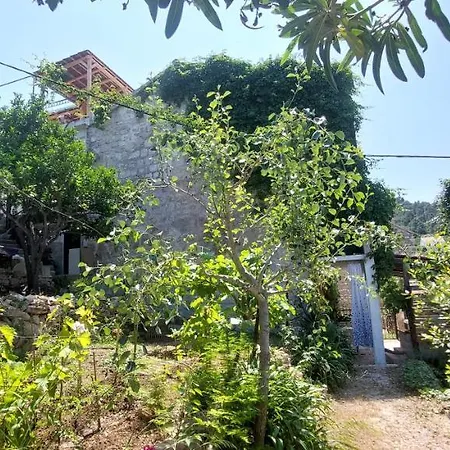 Panoramic View With Jacuzzi *