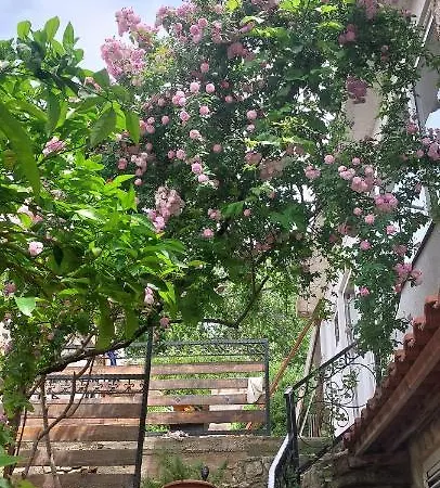 Panoramic View With Jacuzzi * Vis