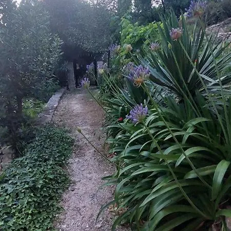 公寓 Panoramic View With Jacuzzi *